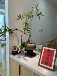 -Your Yoga Pilates·瑜伽普拉提习练室