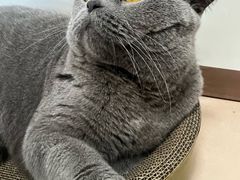 -芭比堂动物医院广州顽皮分院