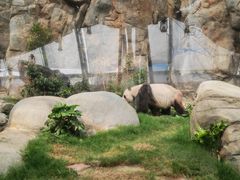 -香港海洋公园