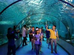 -石家庄海洋公园