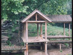 -扬州市茱萸湾风景区