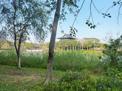-海珠湖公园