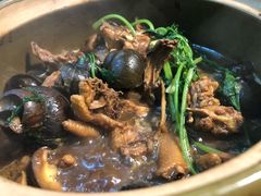 -食爺炭炉鸡煲·烧烤