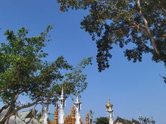 -西双版纳傣族园