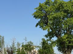 -两河城市森林公园