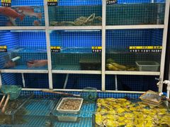 -金龙·打边炉(南京西路店)