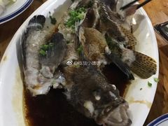 石斑鱼清蒸-八方海味餐厅