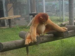 -西安秦岭野生动物园