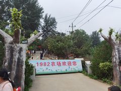 -1982农场