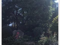 -乌山风景区