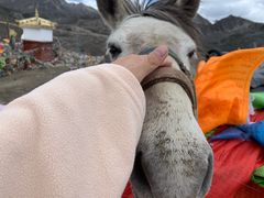 -折多山