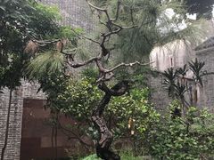 -碧江金楼