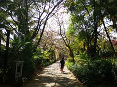 -三亚珠江南田温泉度假区