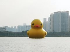 -深圳人才公园