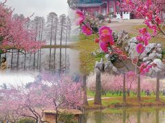 -东湖生态旅游风景区