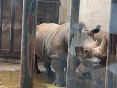 -石家庄市动物园