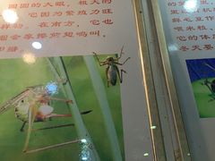 -上海昆虫博物馆