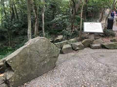 -上海佘山国家森林公园天马山园