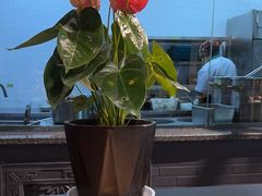 -胖老汉新疆特色椒麻鸡(南门店)