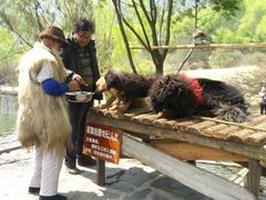 -丽江玉水寨