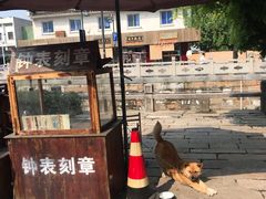 -状元楼(东大街店)