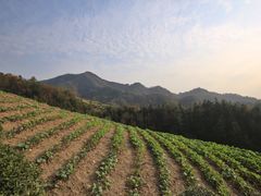 -石潭村