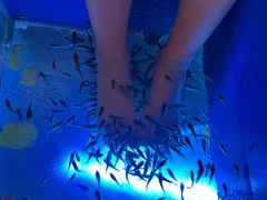 -汤连得温泉馆(宝山店)