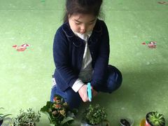 -四叶草托育园(张江园店)