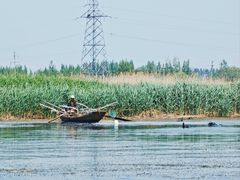 -白洋淀风景区