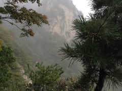 iphone_upload_pic-王顺山国家森林公园