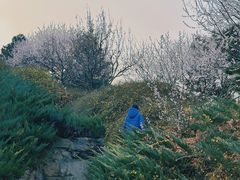 -北京西山国家森林公园