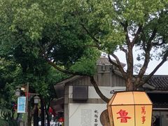 -鲁镇