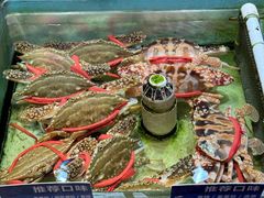 -强记海鲜·大排档(蛇口新街店)