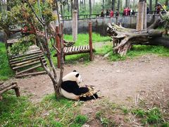 -藏龙百瀑风景区