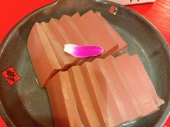 -谭鸭血老火锅(万象九宜城店)