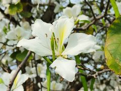 -花都广场