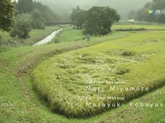 -微笑口腔(园区店)