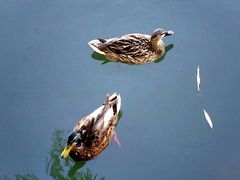 -北海公园-停车场