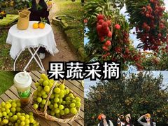 -麓舍全景太湖温泉别墅团建拓展会议亲子