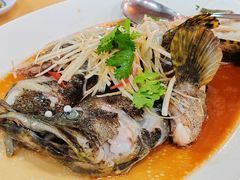 清蒸东星斑-無招牌海鮮(芽笼店)