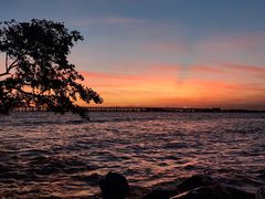 -宝安西湾红树林湿地公园