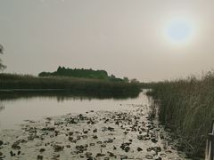 -苏州太湖湖滨国家湿地公园