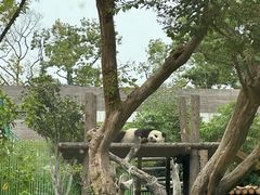 -武汉动物园