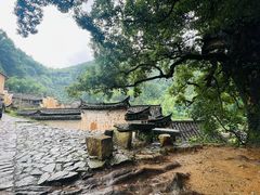 -杨家堂村