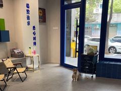 -伟伟宠物医院·CT影像中心·瑞派犬猫综合性门诊(汉口总院)