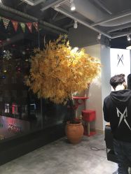 -M Hair造型