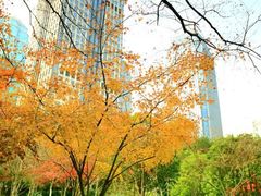 -钱江新城灯光秀