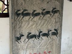 -上海醉白池公园