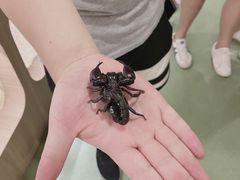 -藦茜花园宠物主题亲子互动体验馆(国顺东路店)