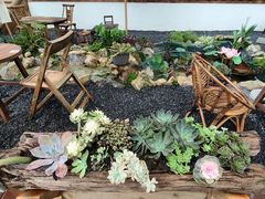 -伴山茶苑·围炉煮茶